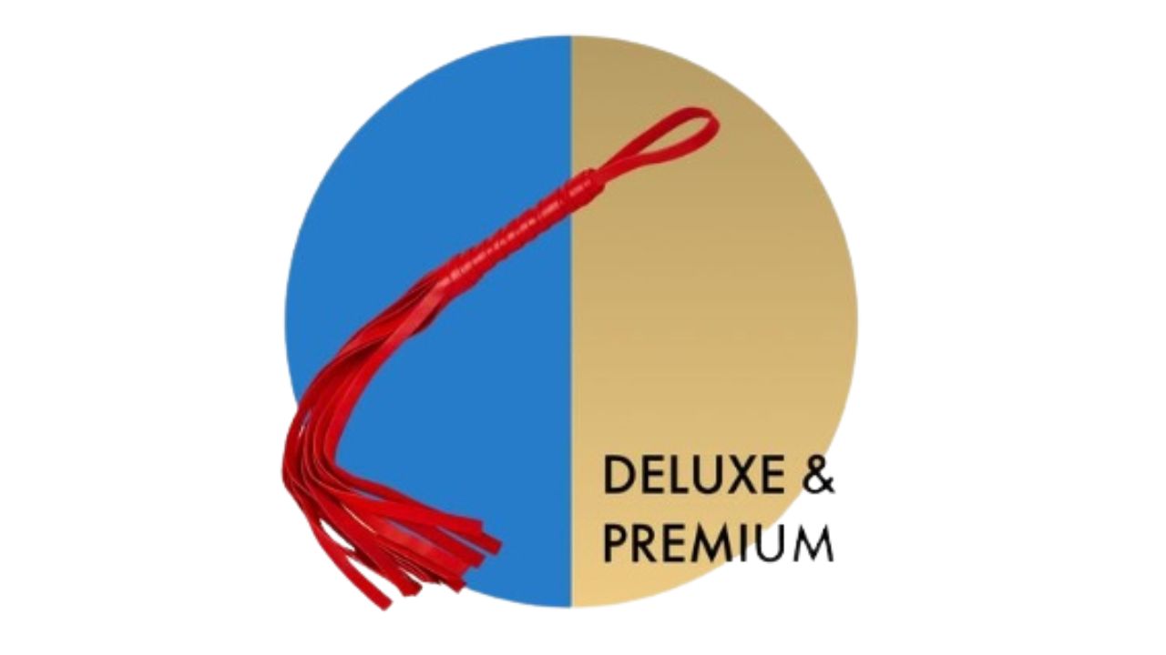 BDSM Peitsche (2)